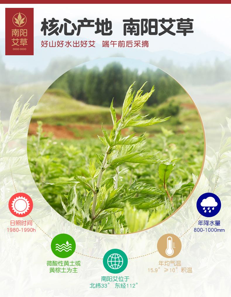 妙艾堂姜艾柱 艾條生姜陳年54粒加姜金艾柱 南陽廠家批發艾灸產品